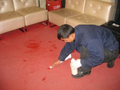 地毯清洗保養服務